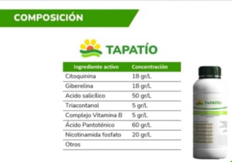 TAPATÍO