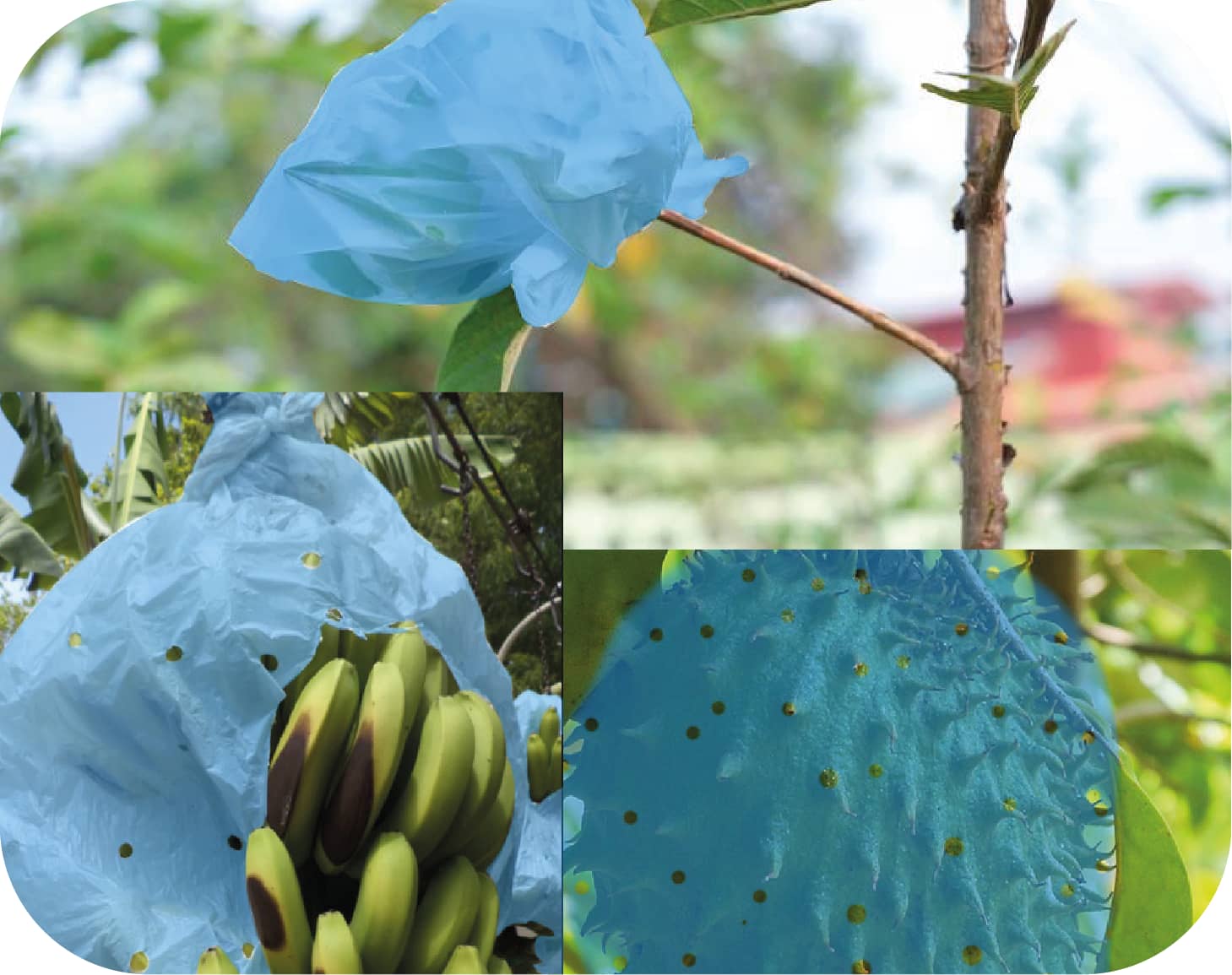 bolsa protectora-01.png