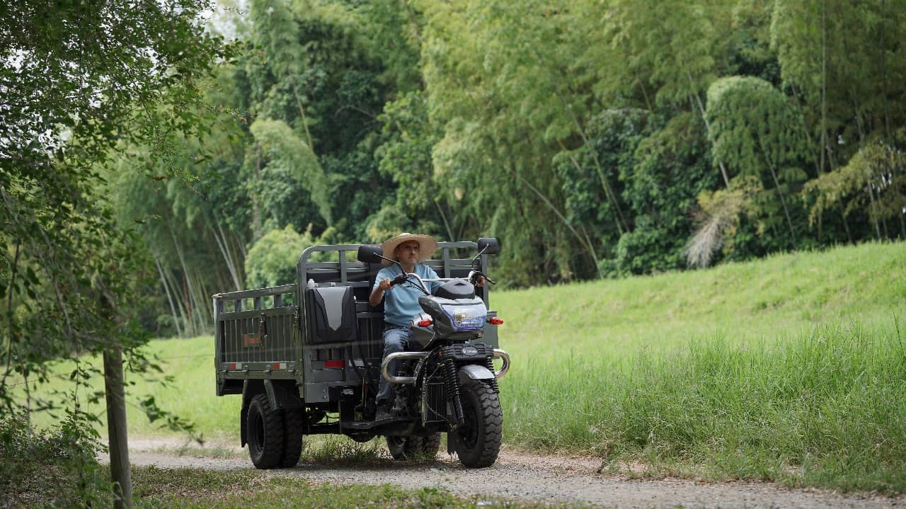 Motocarro de Carga MTRD300 | Potencia y 1000kg Capacidad