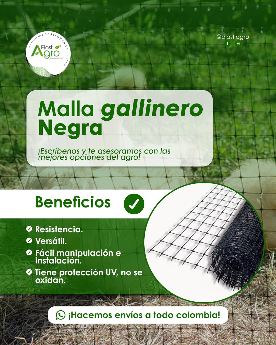 Malla-gallinero-negra-21-de-julio-2.jpg