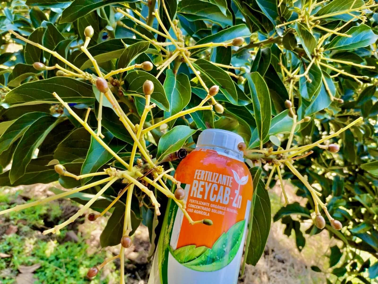 REYCAB-Zn Zinc Foliar Mejora Floración y Fruto