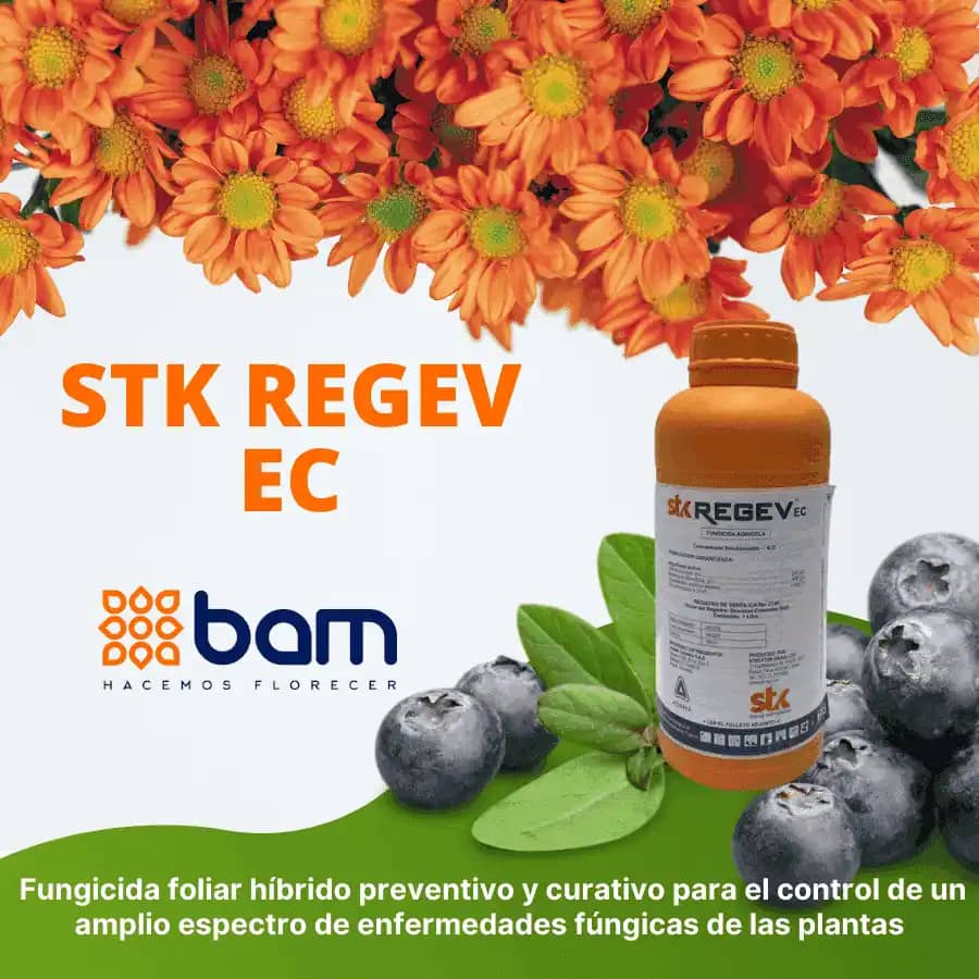 Fungicida Stk Regev Ec X Litro - Bam