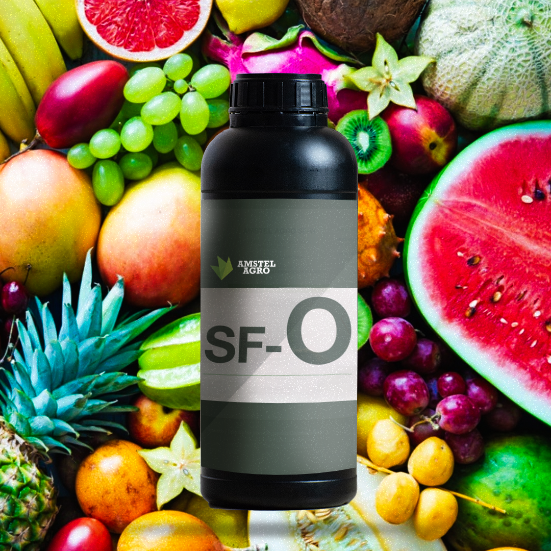 Fertilizante SF-O x 1 Litro (Frutas)