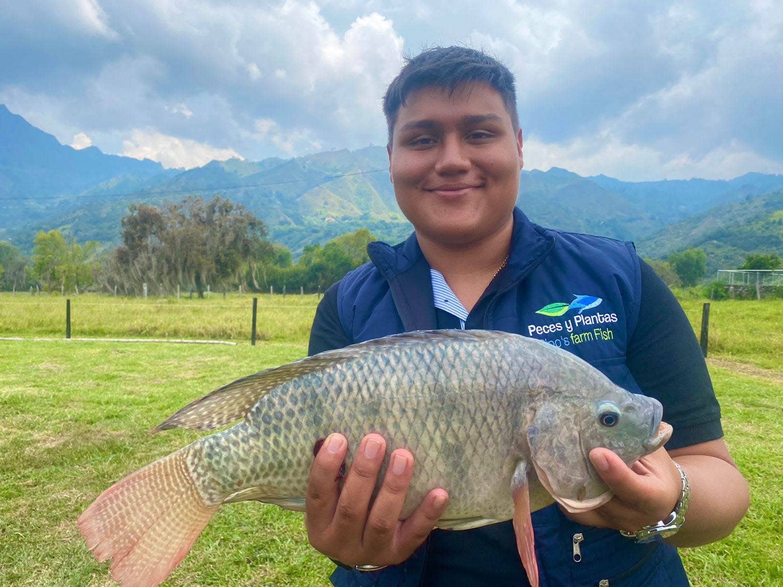 Tilapia Nilotica