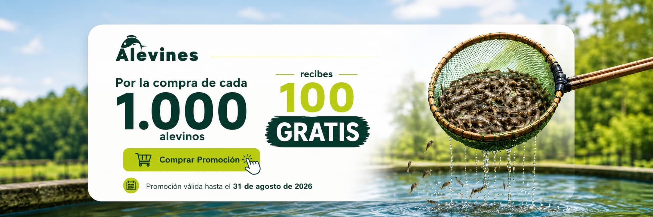 promocion alevinos