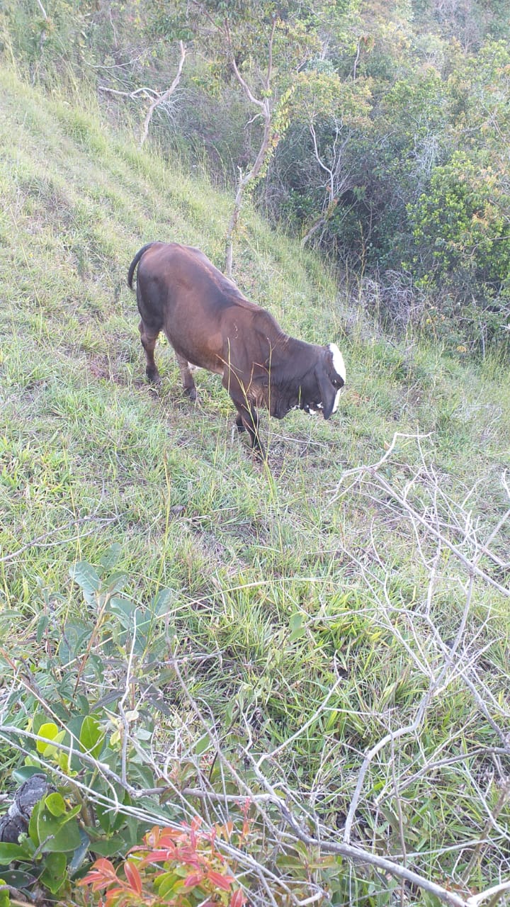 2024-23-oct Usuga Juan Manuel, Finca2.jpeg