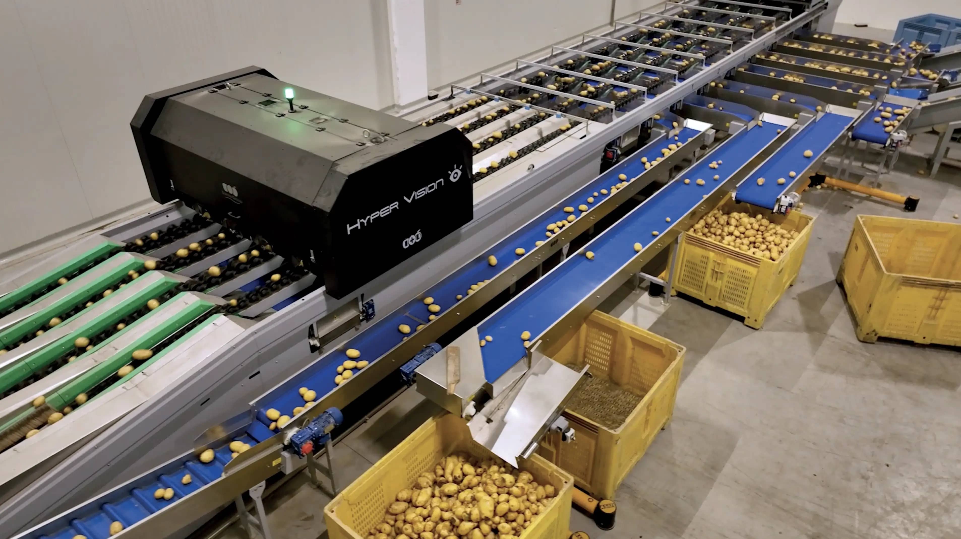 Calibrador Hyper Vision para clasificación óptica de fruta con IA