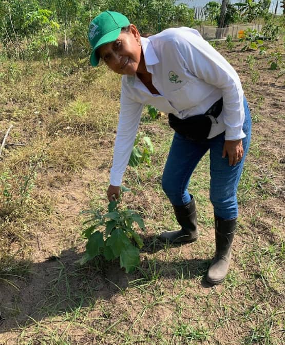 Captura de pantalla 2025-02-27 082425.png