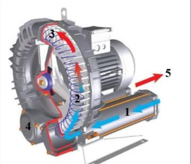 Soplador Blower 3HP Trifásico | 376 m³/h y 2.8 PSI