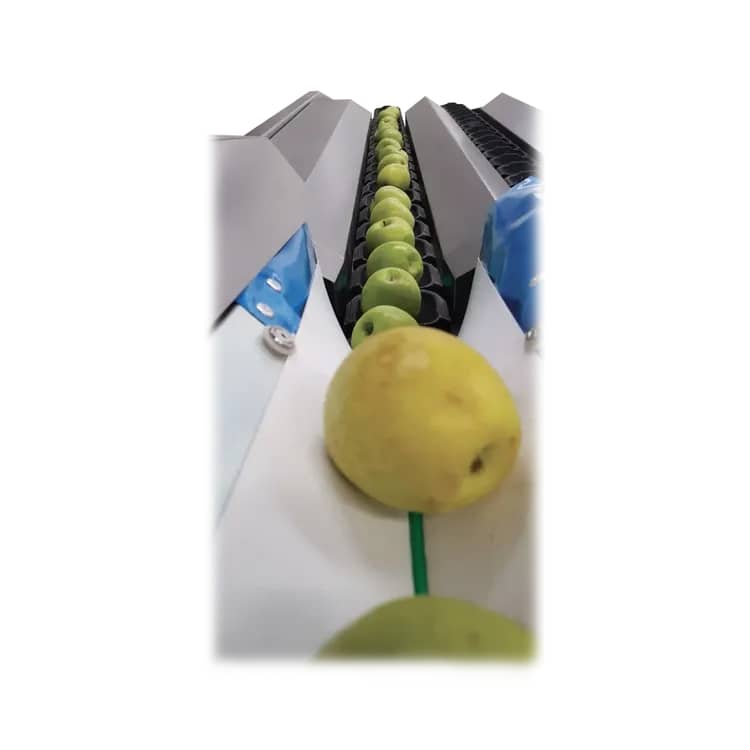 Calibrador Hyper Vision para clasificación óptica de fruta con IA