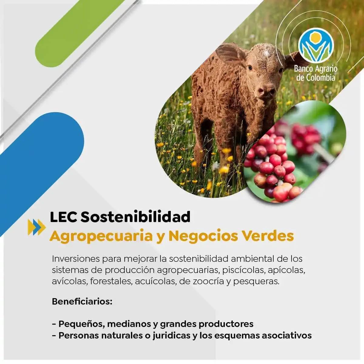 Crédito - LEC Sostenibilidad Agropecuaria y Negocios Verdes