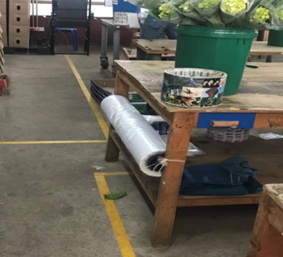 Bolsa Micoperforada Agrícola | Conservación y Frescura