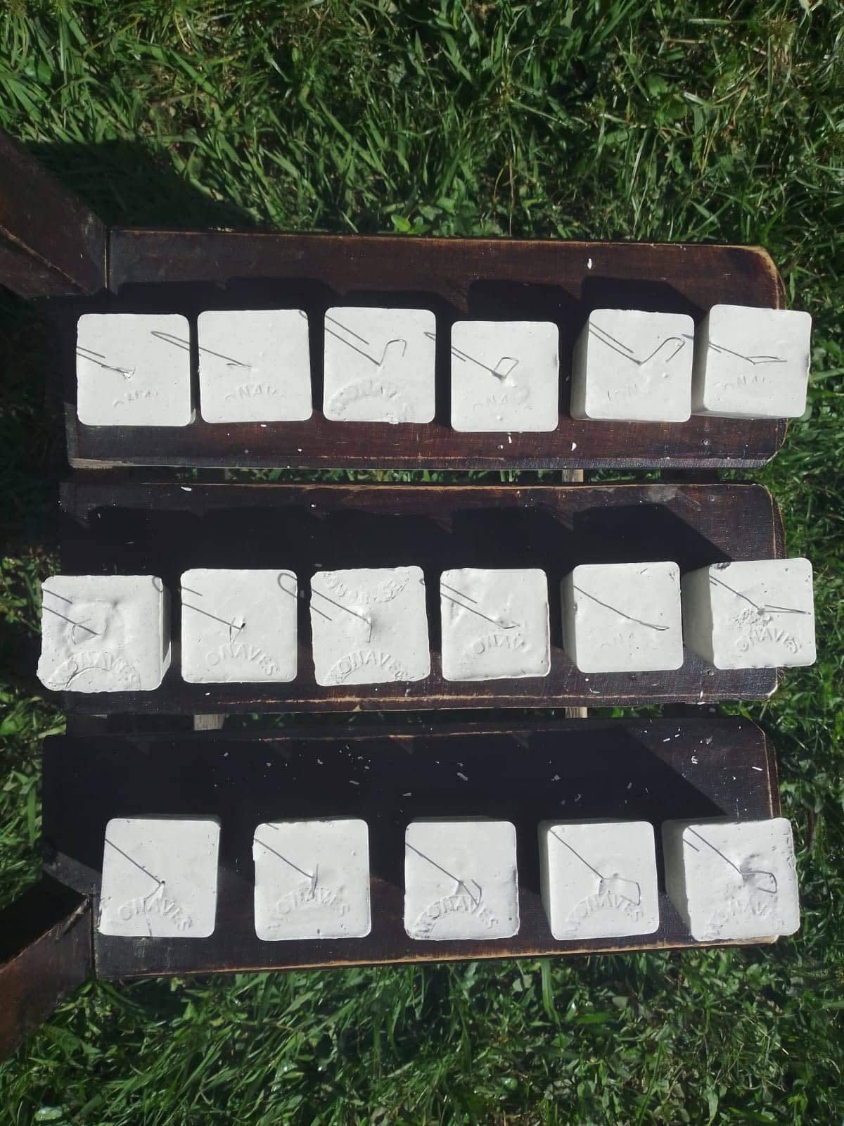 Calcio Mineralizado en Hongo para Psitácidos