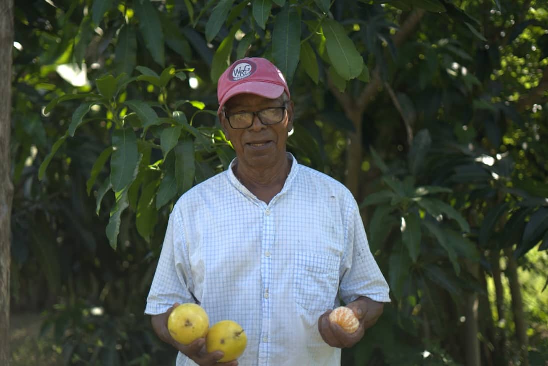 Captura de pantalla 2025-02-19 150241.png