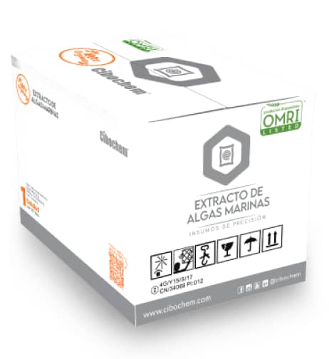 Extracto de Algas Marinas 20Kg – Bioestimulante agrícola