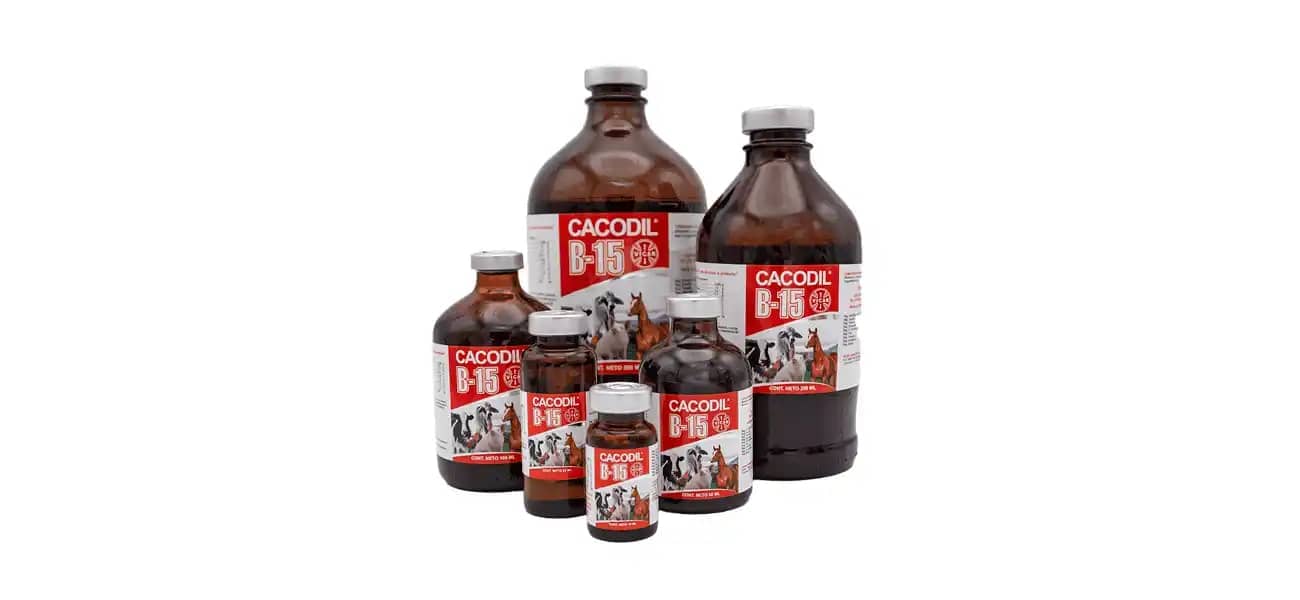 Vitamina Cacodil B15 x 500 ml | Recuperador, Tonificante y Energizante