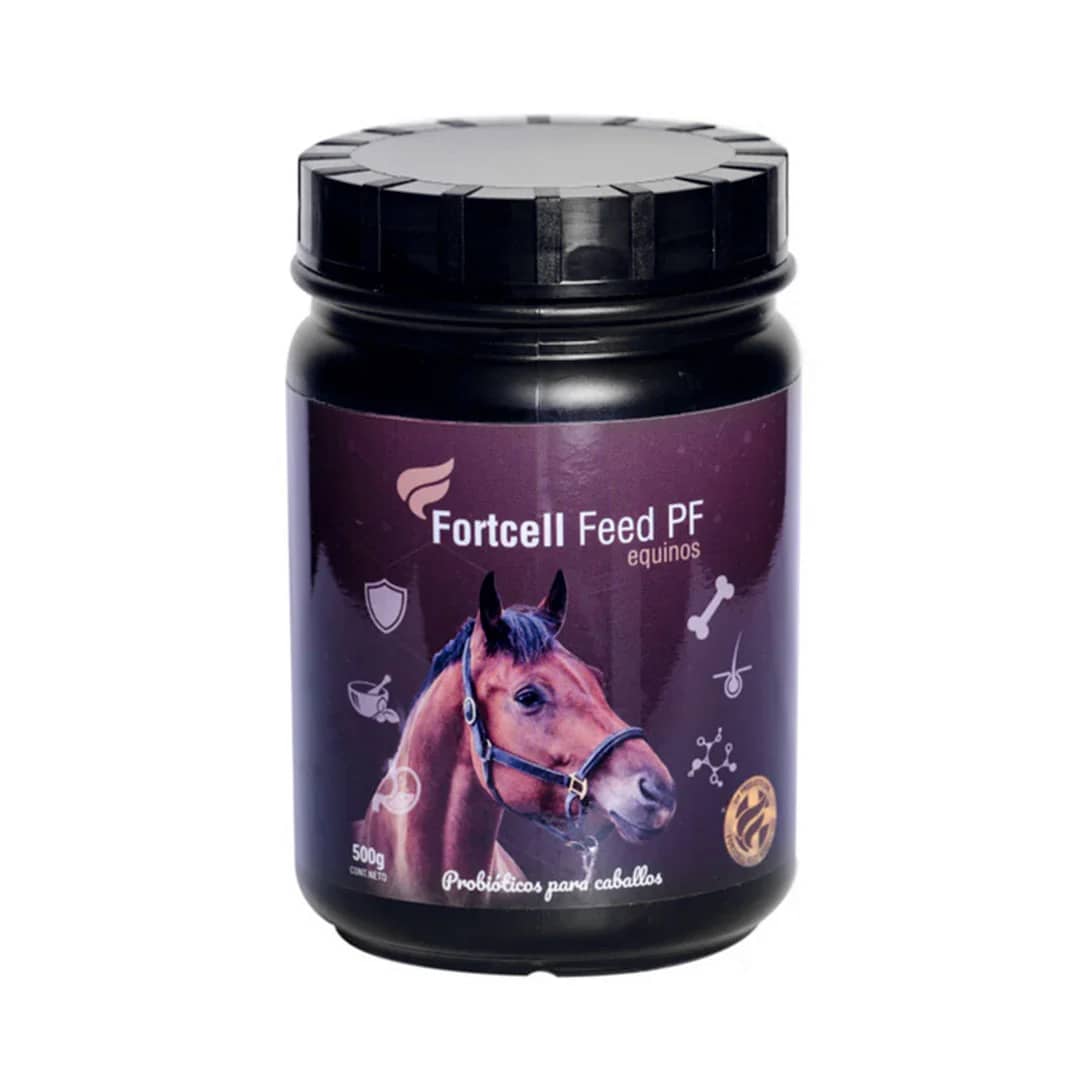 Fortcell Feed caballos | Levaduras probióticos y prebióticos
