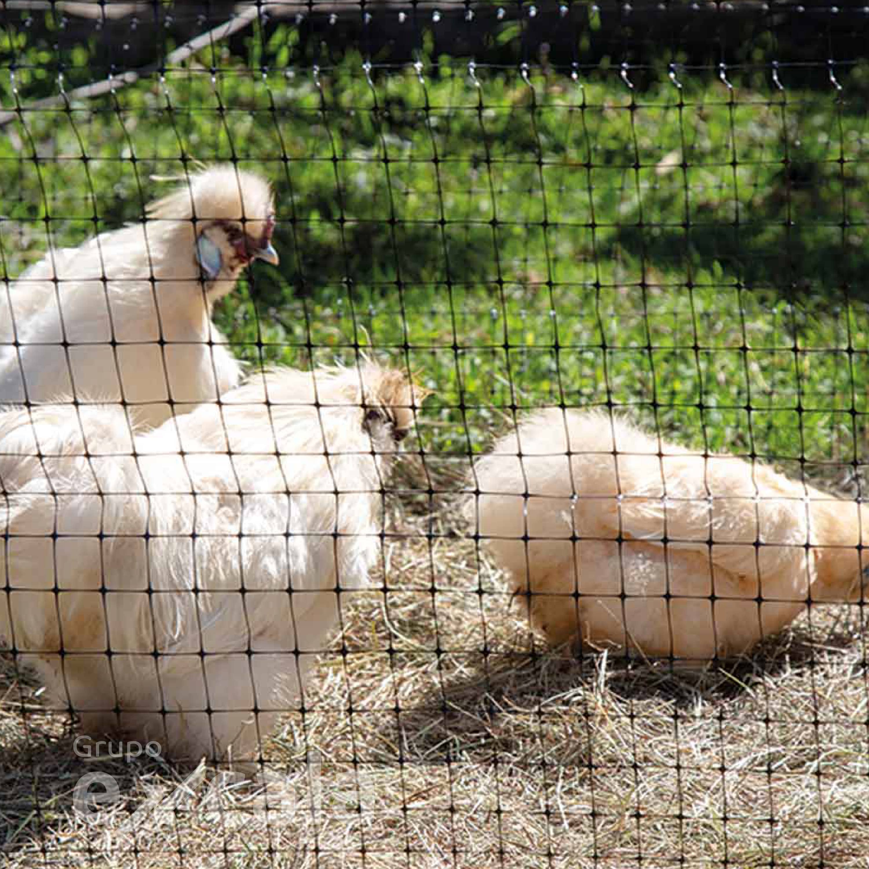 Malla Gallinero 25x30mm 1.8m x 50m Negro UV2 | Polipropileno Excala