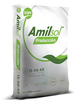 Fertilizante - Amilsol Producción 13-6-40 x 25 Kg