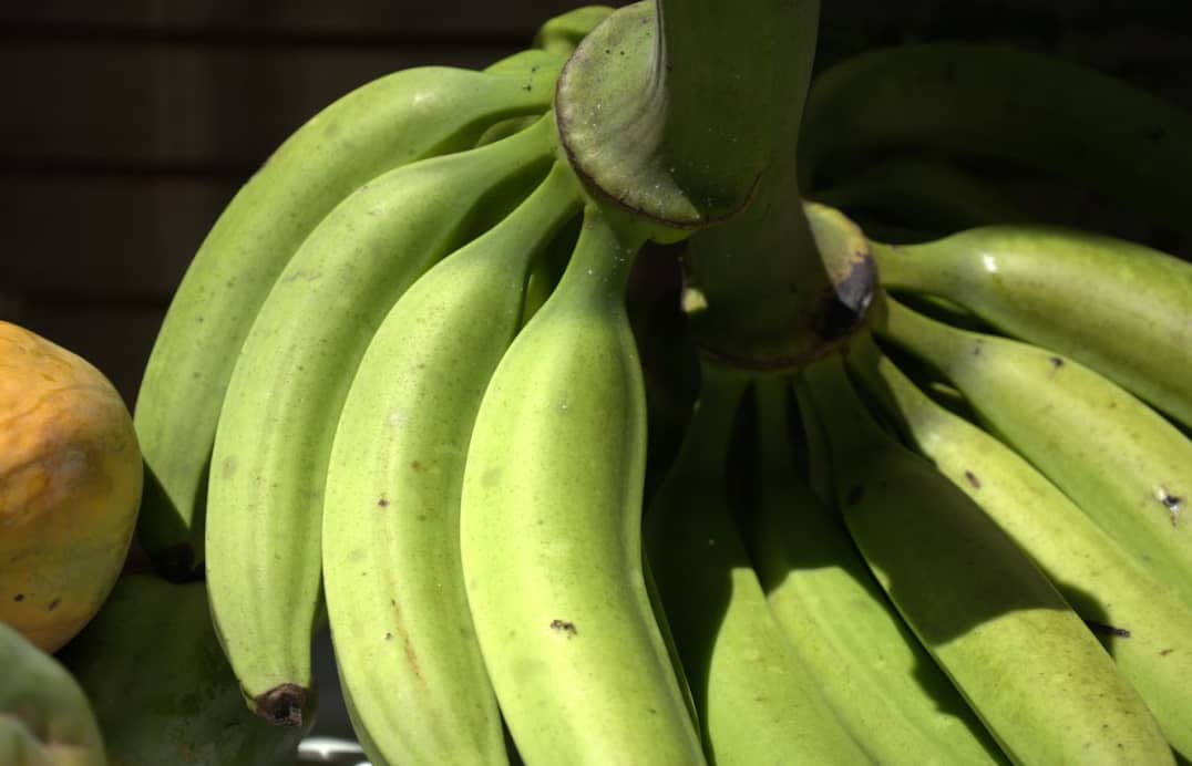 Captura de pantalla 2024-12-11 094931.png