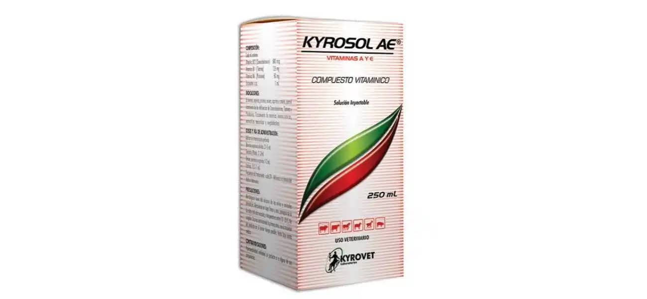 Vitamina Kyrosol A E X 250 Ml