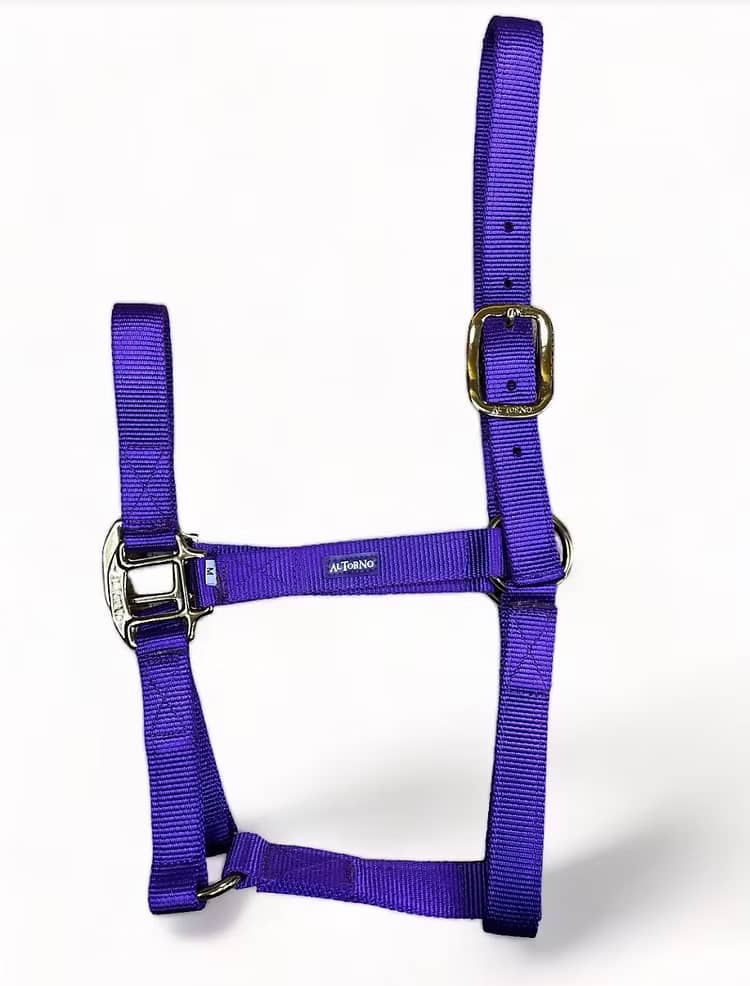 Jaquimón Reata para Potros de 6 a 15 Meses