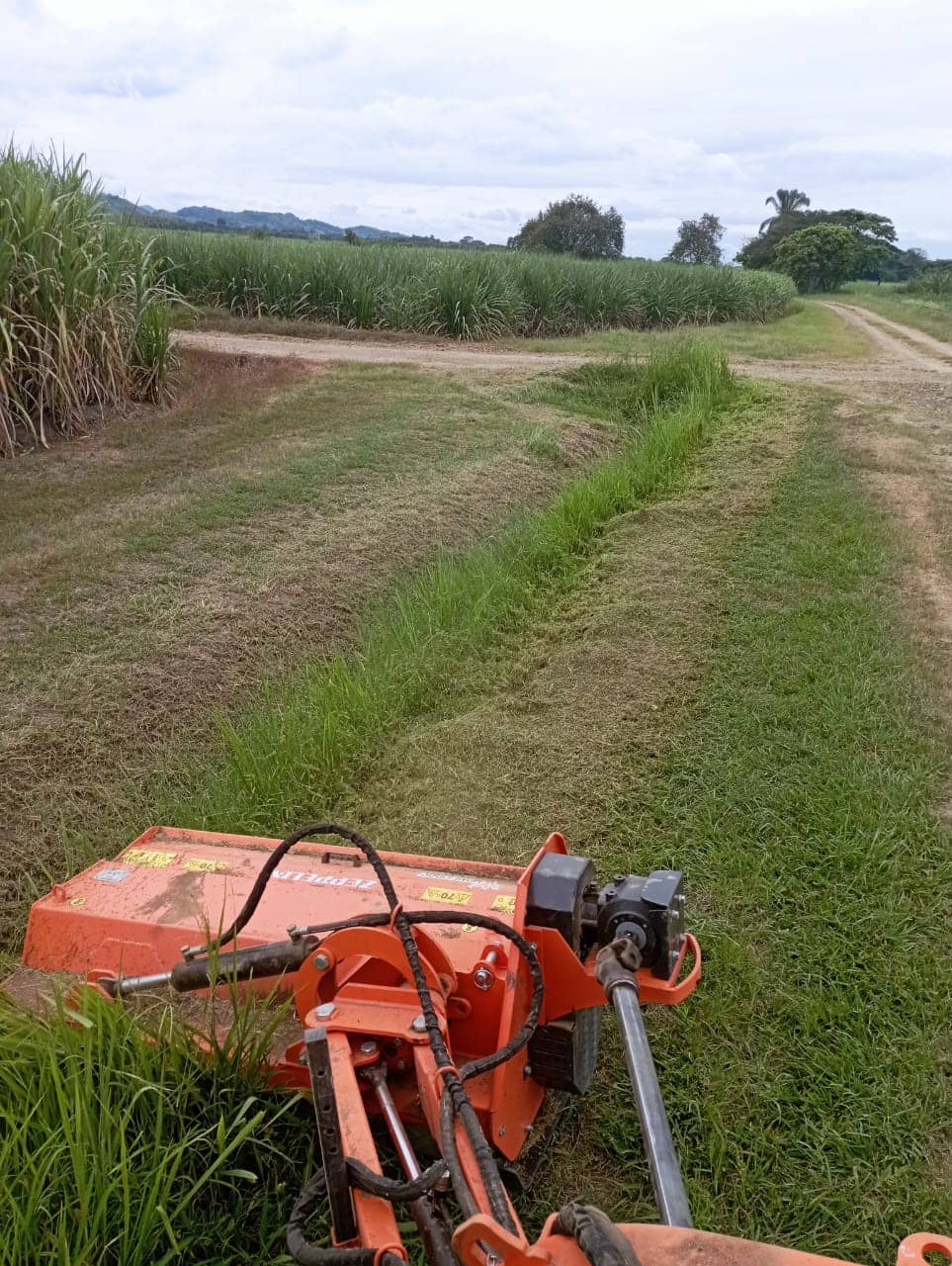 Desbrozadora Trituradora Multifunción 1600mm – Potente y eficaz para residuos