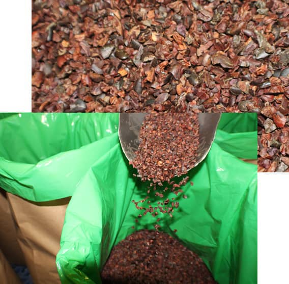 Nibs de cacao x 30kg