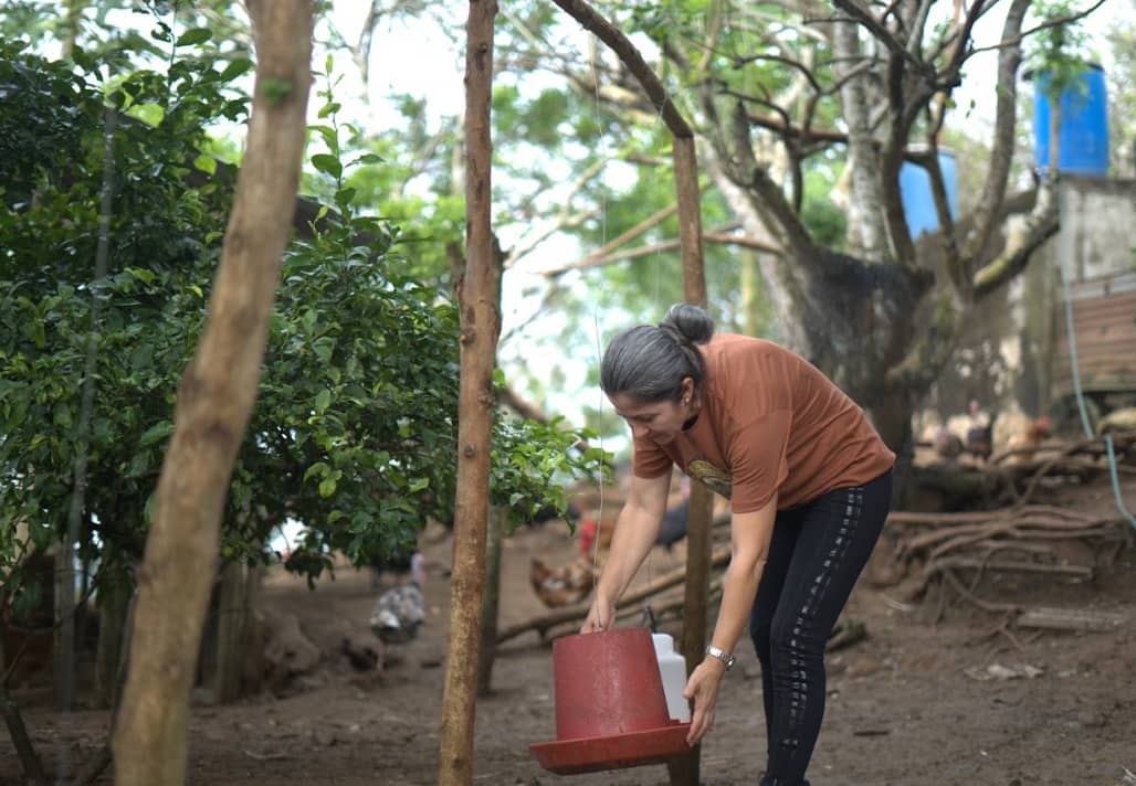 Captura de pantalla 2025-02-19 141604.png
