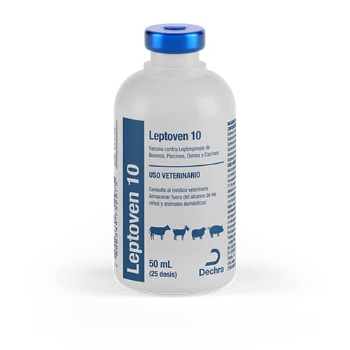 Vacuna Leptoven 10 x 25 Dosis - Dechra