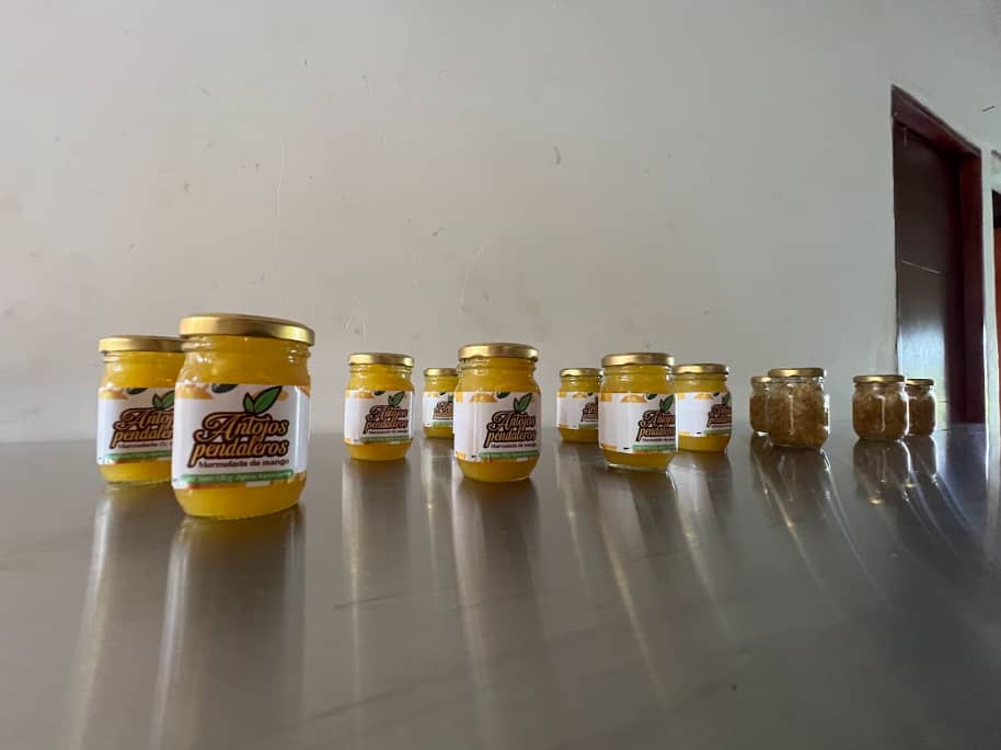 Captura de pantalla 2024-12-20 124649.png