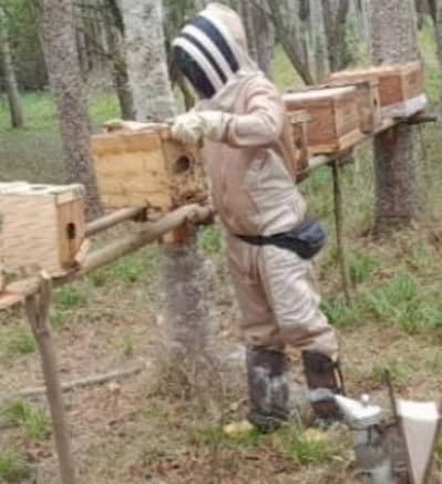 Sandy Paola De Ávila Mosquera (Apicumaco)