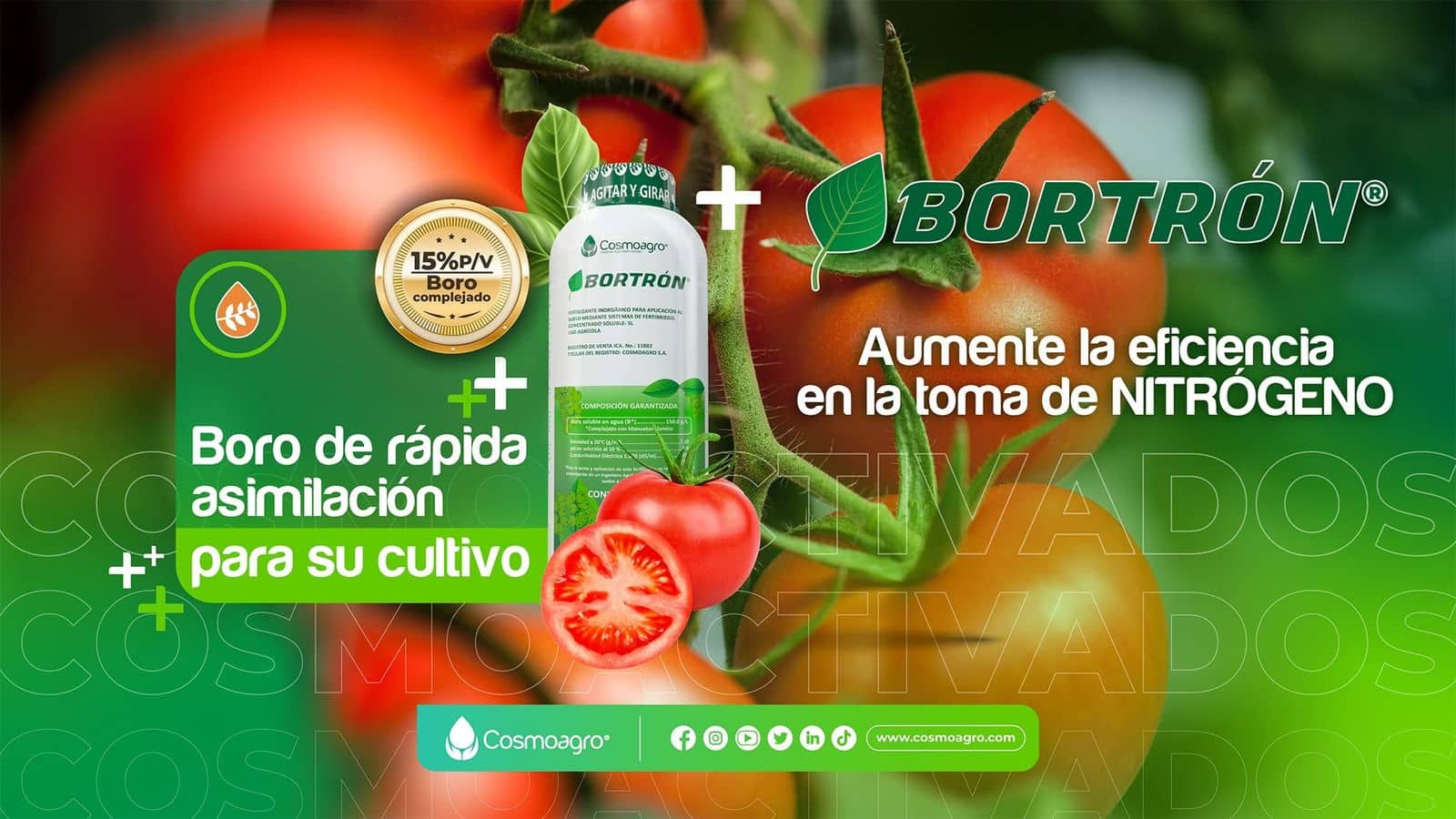 BORTRON