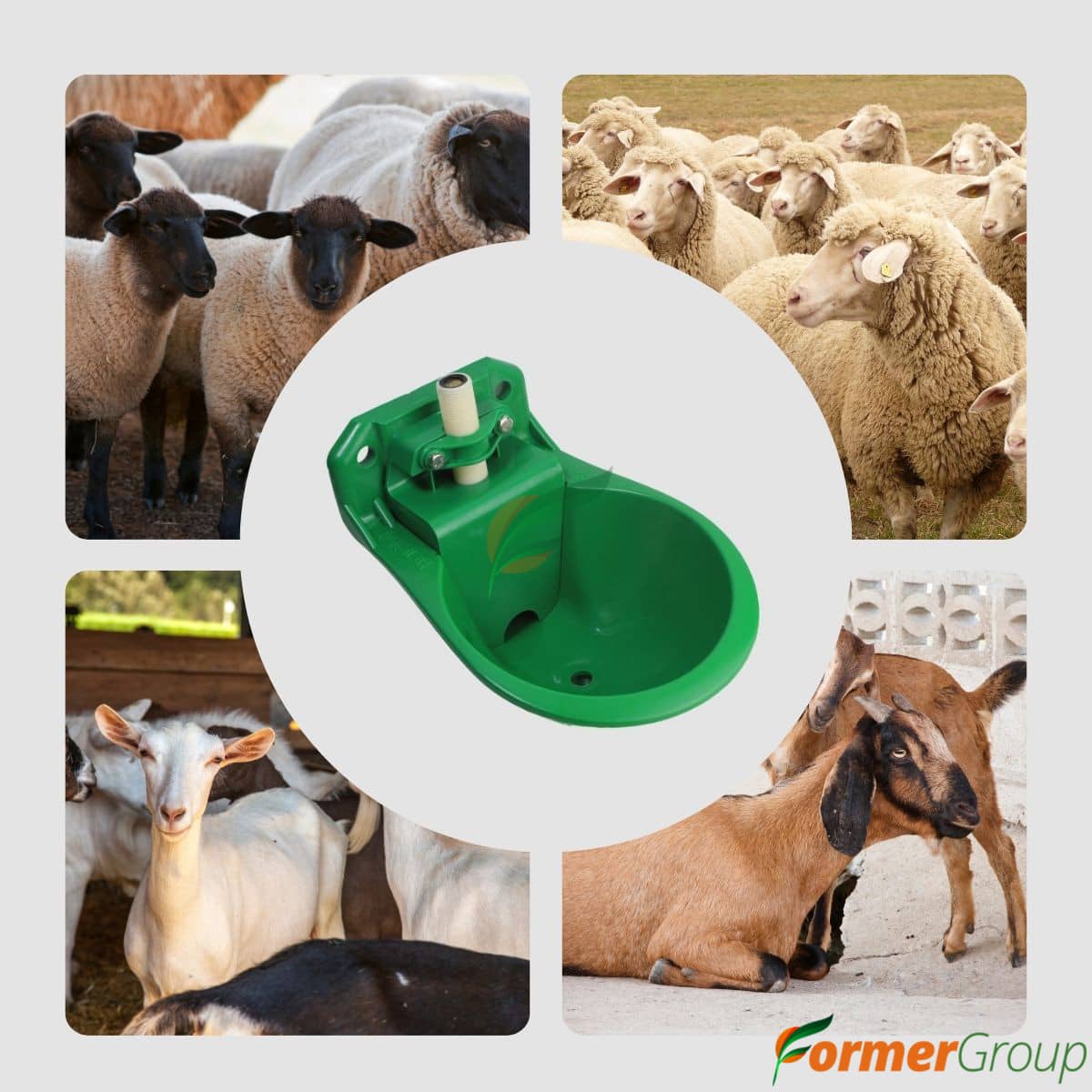 Bebedero Automático para Ovinos y Caprinos