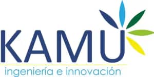 Kamu