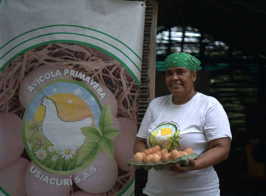 Captura de pantalla 2024-12-18 205758.png