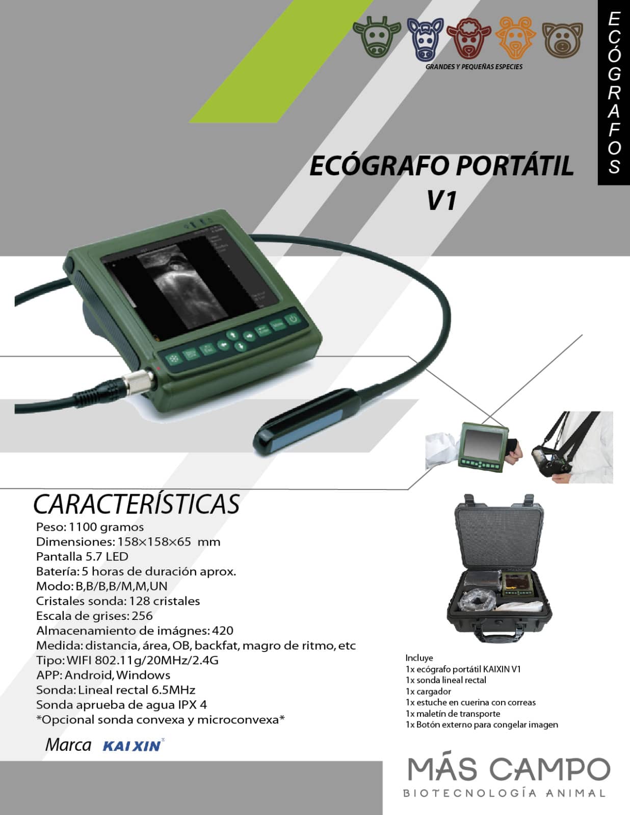 Ecógrafo V1