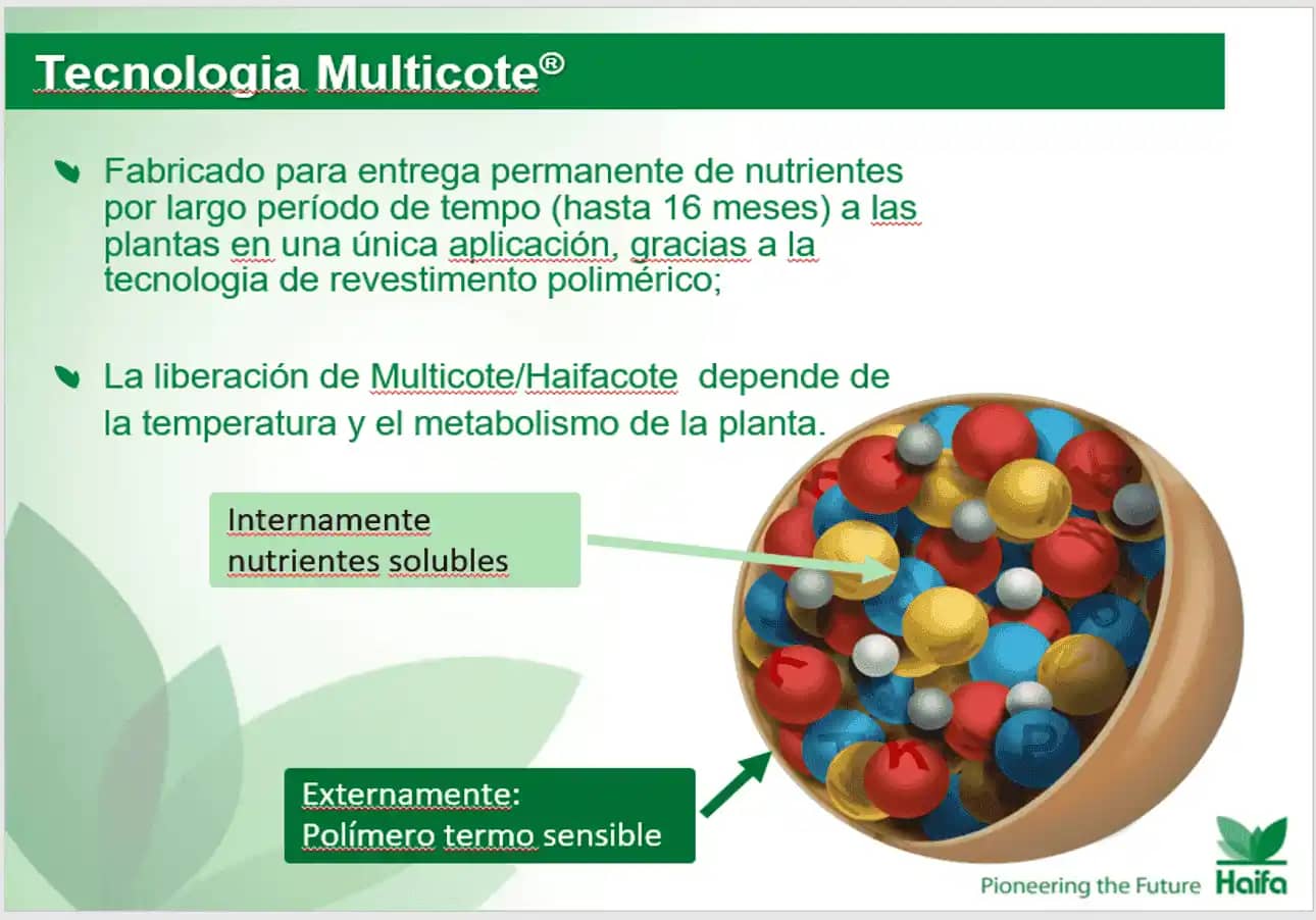 Fertilizante Soluble Haifa CoteN™ 42-0-0