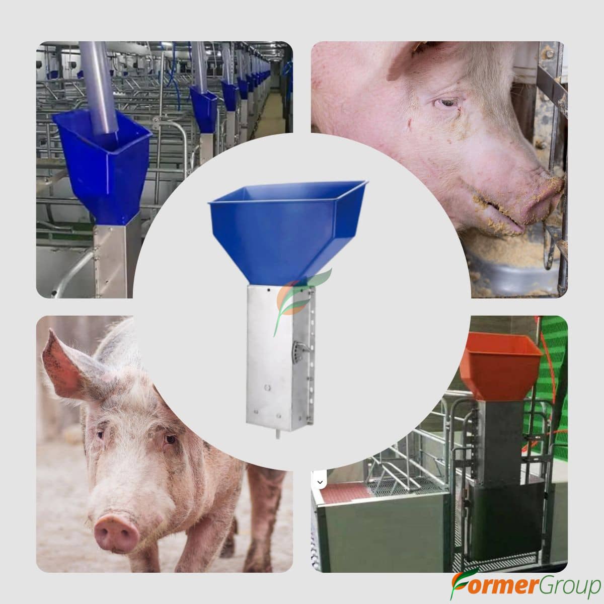 Alimentador Automático para Cerdas