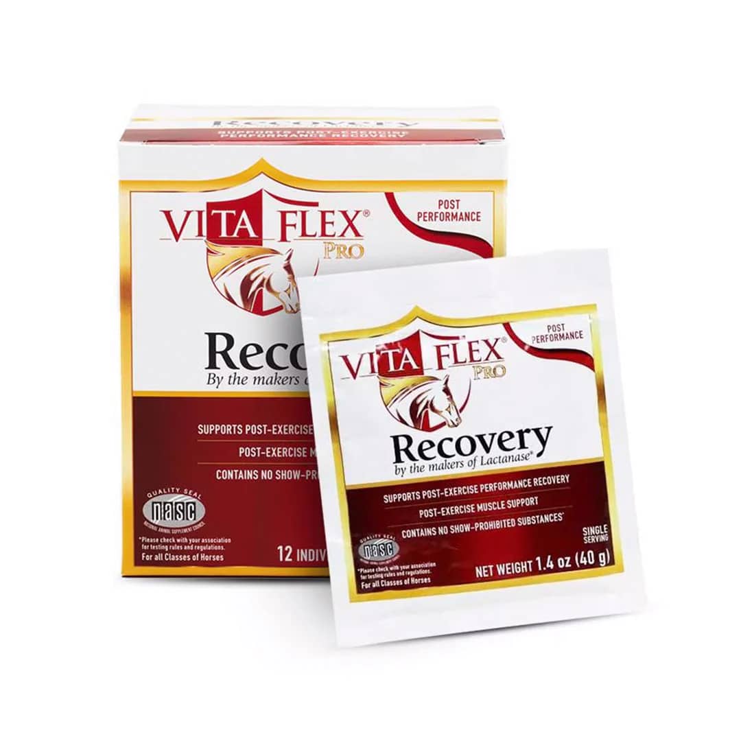 Recovery suplemento equino antioxidante post ejercicio