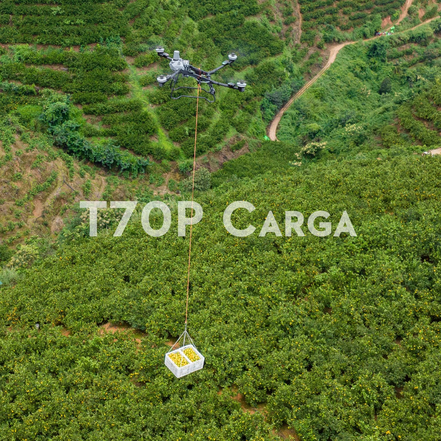 Dron agrícola DJI AGRAS T70P de alto rendimiento
