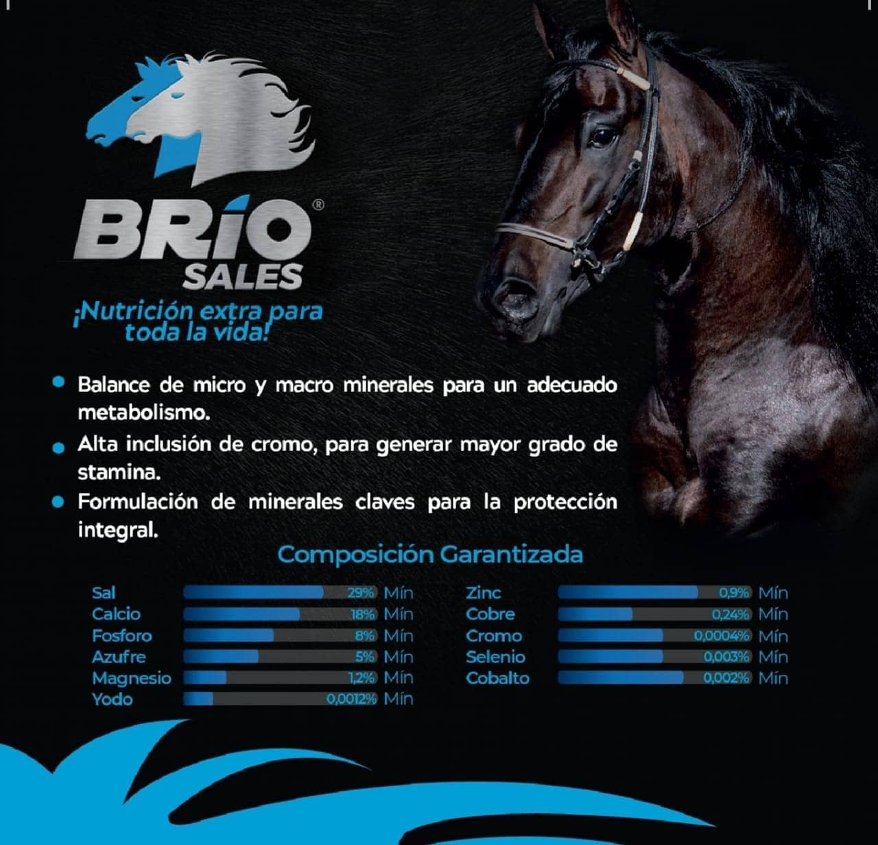 Sal Mineralizada Brio Sales 5 x 2 kg - Italcol