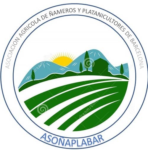 ASOÑAPLABAR