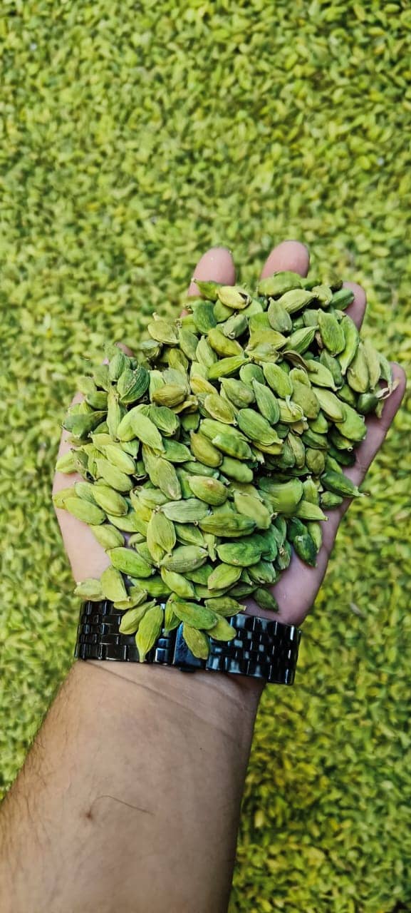 Cardamomo Natural al por Mayor | Aroma Intenso y Sabor Premium