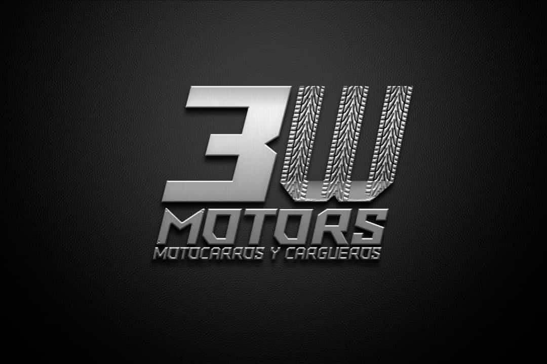 3W MOTOR
