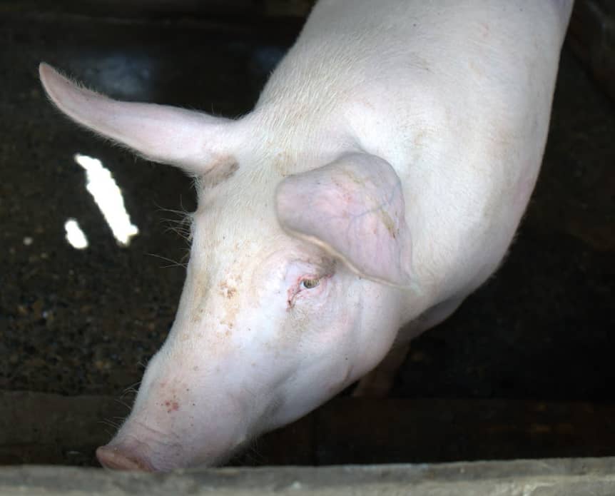 Captura de pantalla 2024-12-10 161224.png