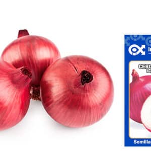 Semilla de Cebolla roja x 2 gr