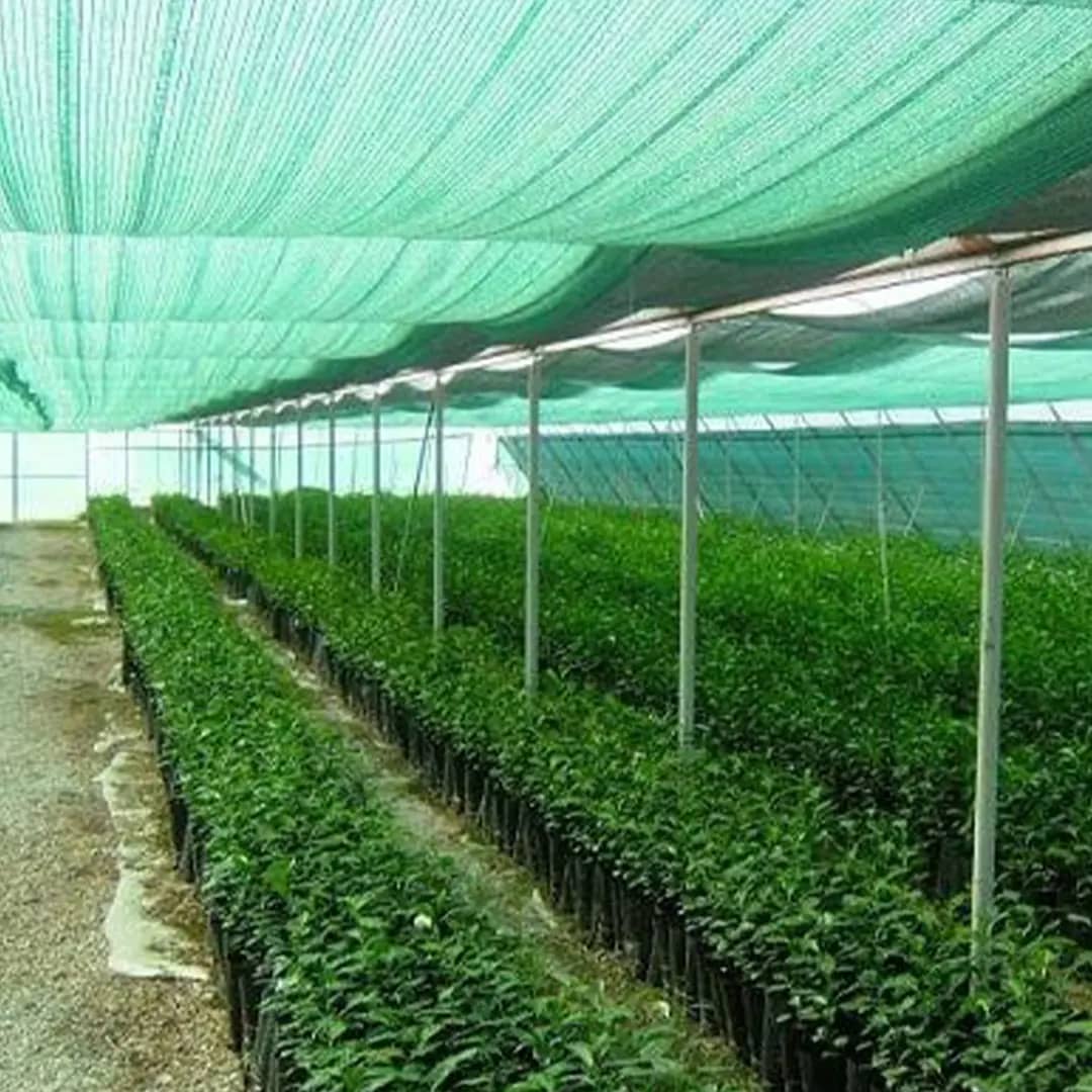 Polisombra para Cultivos y Jardines | Protección UV