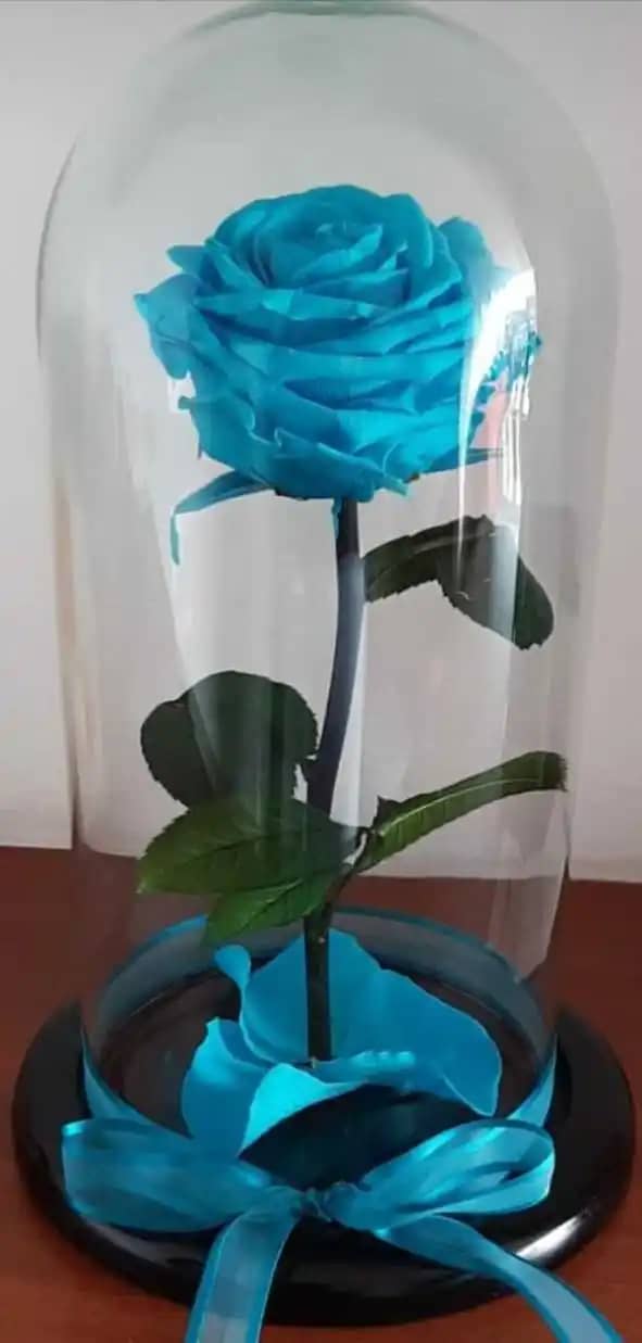 ROSA Azul clara.jpg