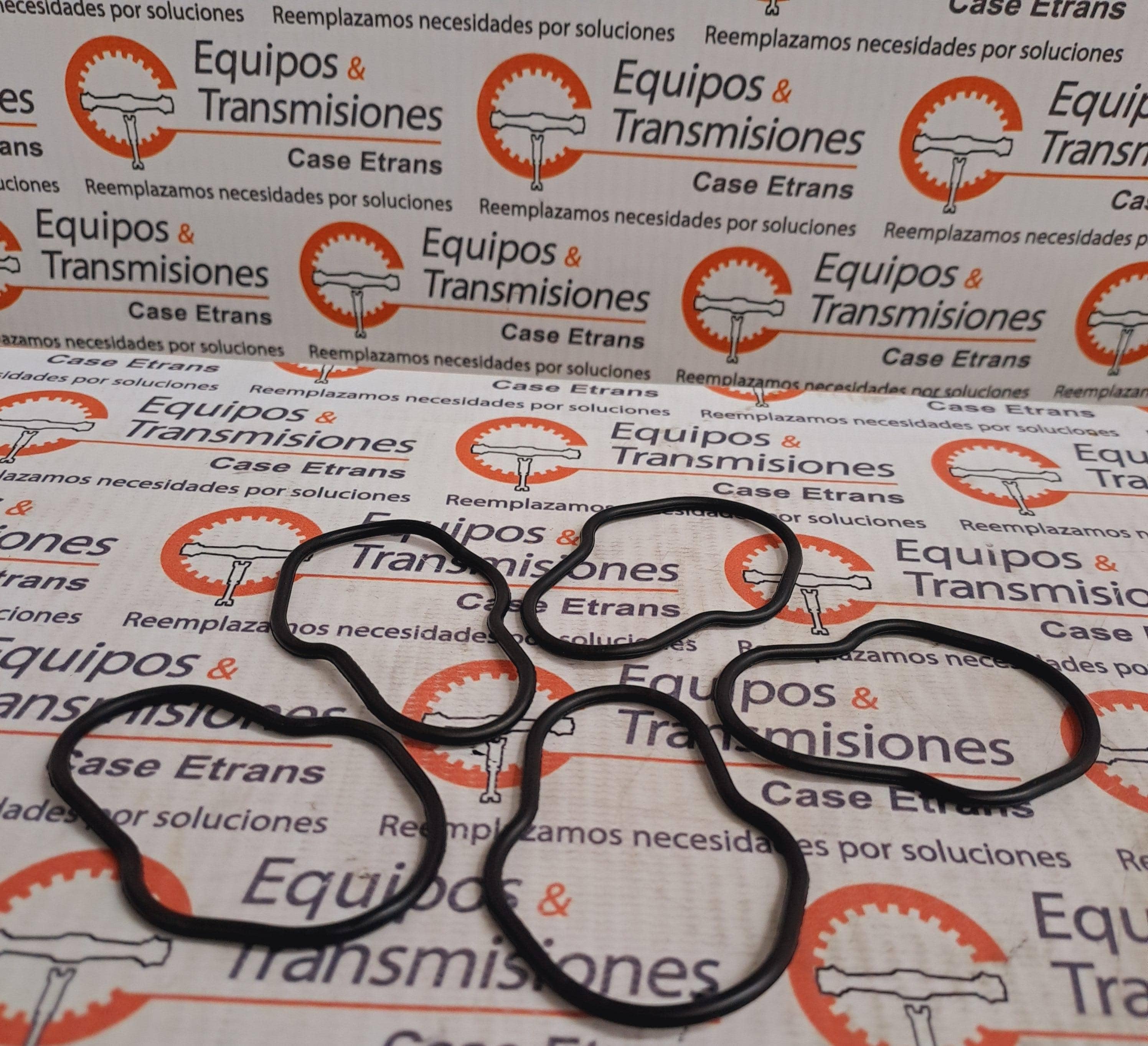 O-ring CNH
